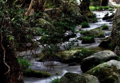 仙寓山东坞瀑布群景区