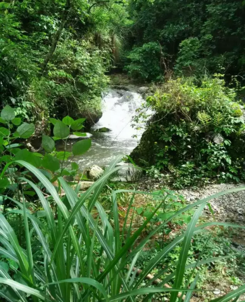 仙寓山景区